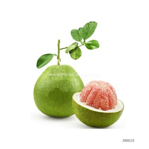 Bưởi Da Xanh Miền Nam